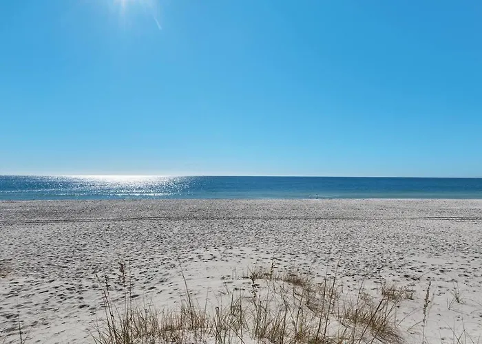Apartment Beachfront 10br Oasis W Private Pool Sleeps 24